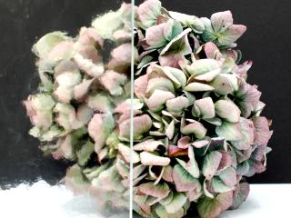 Szyba Kathedral Klein