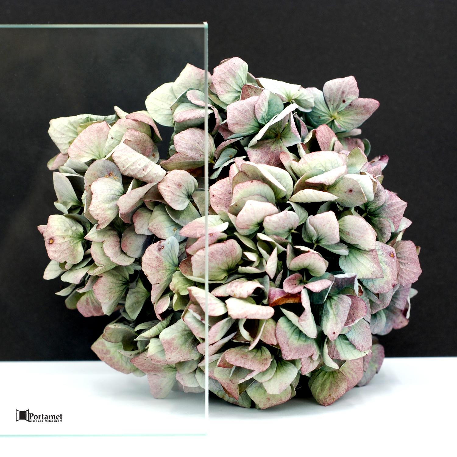 przezroczysta szyba do drzwi loftowych Portamet